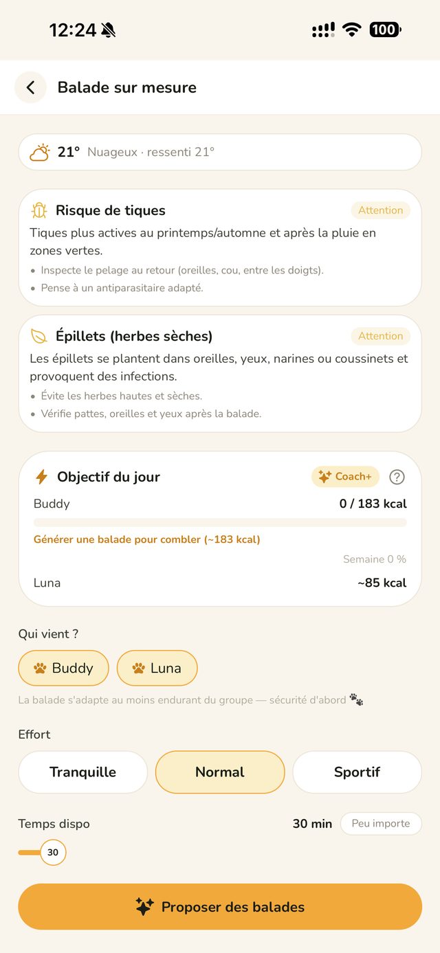 Écran Balade sur mesure : météo, alertes tiques/épillets, objectif Dog Energy, choix des chiens et de l'effort